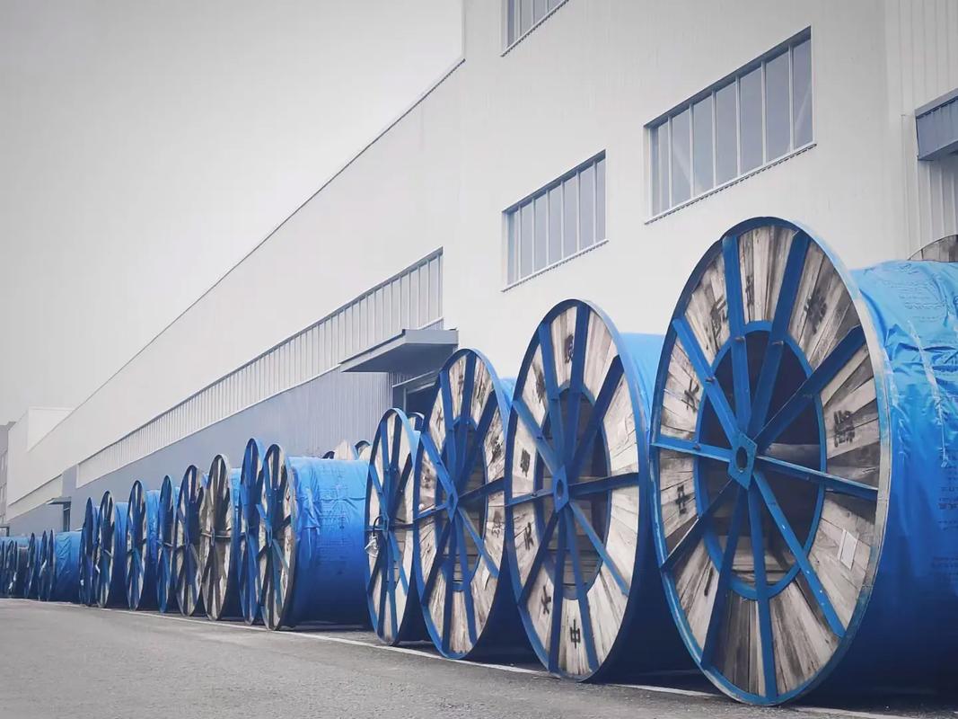 1773131430126242.jpg 电缆工厂1.jpg